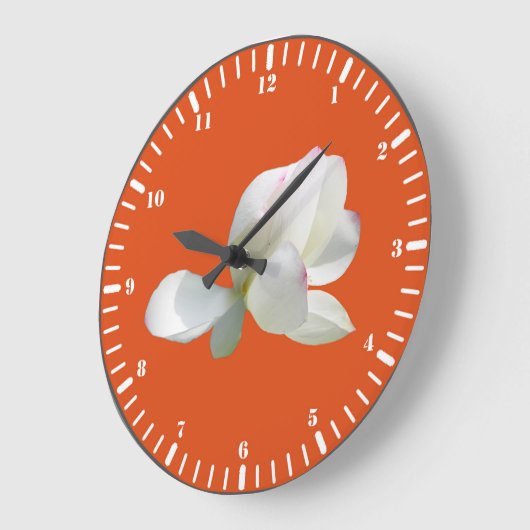 Witte lotus grote klok (Hoek)