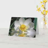 Witte Lotus Kaart (Gele Bloem)