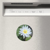 Witte Lotus magneet (Insitu (Vaatwasser))