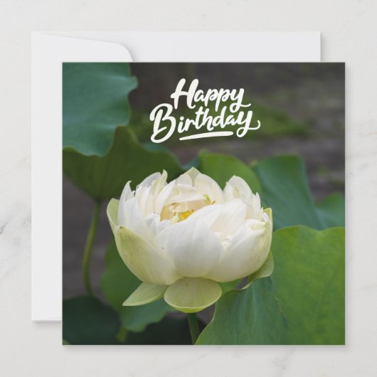 Witte lotus met het woord Happy Birthday Briefkaar (Voorkant)