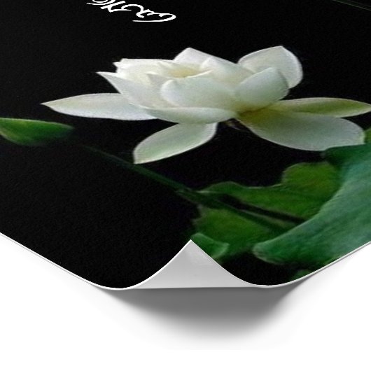 Witte Lotus Om Mani Padme Hum Boeddhistische Mantr Poster (Hoek)