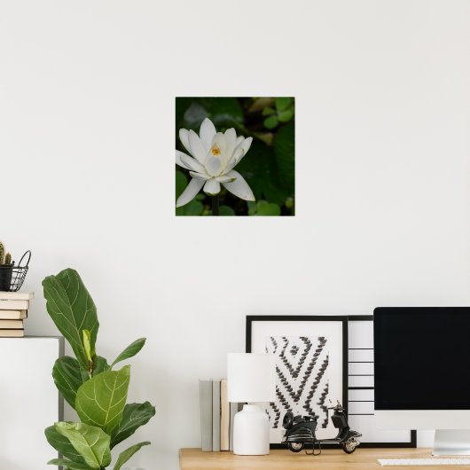 Witte Lotus Poster (Thuiskantoor)
