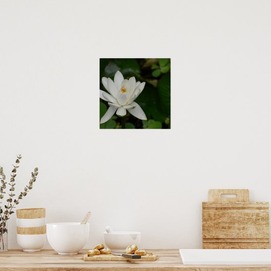 Witte Lotus Poster (Keuken)