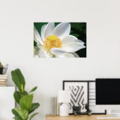 Witte Lotus Poster (Thuiskantoor)