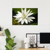 Witte lotus poster (Thuiskantoor)