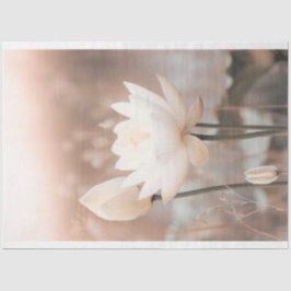 Witte Lotus, Roze Roos, Pampagras, nevelig meer Tissuepapier