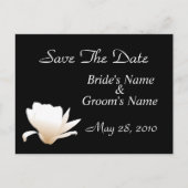 Witte Lotus Save the Date Briefkaart (Voorkant)