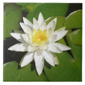 Witte Lotus Tegeltje (Voorkant)