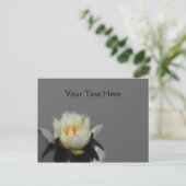 Witte Lotus Water Lily Flower Natuur Briefkaart (Staand voorkant)