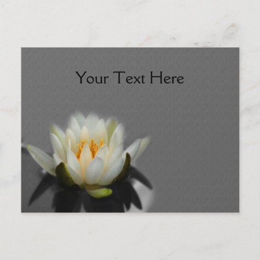 Witte Lotus Water Lily Flower Natuur Briefkaart (Voorkant)