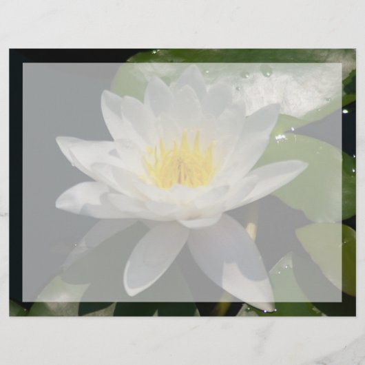 Witte Lotus Waterlly Flower (Voorkant)