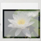 Witte Lotus Waterlly Flower (Voorkant / Achterkant)