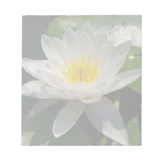 Witte Lotus Waterlly Flower Notitieblok (Voorkant)
