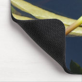 witte lotus waterlly muismat (Hoek)