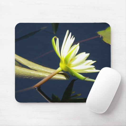 witte lotus waterlly muismat (Met muis)