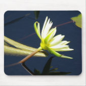 witte lotus waterlly muismat (Voorkant)