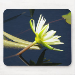 witte lotus waterlly muismat