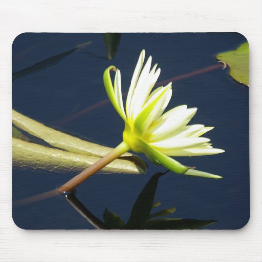 witte lotus waterlly muismat (Voorkant)