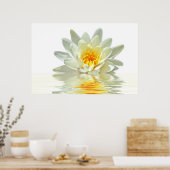 witte lotus zwevend in water poster (Keuken)