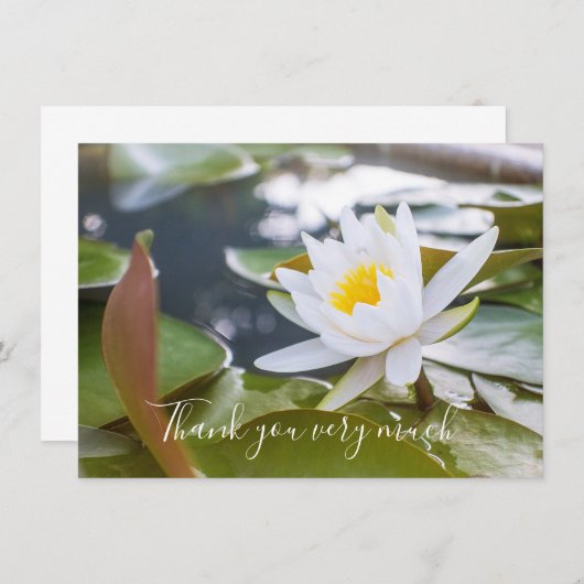 Witte lotusbloem in de vijver bedankkaart (Voorkant / Achterkant)