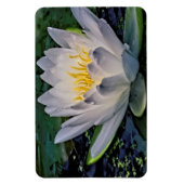 Witte lotusbloem magneet (Verticaal)