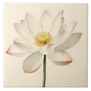 Witte Lotusbloem Tegeltje