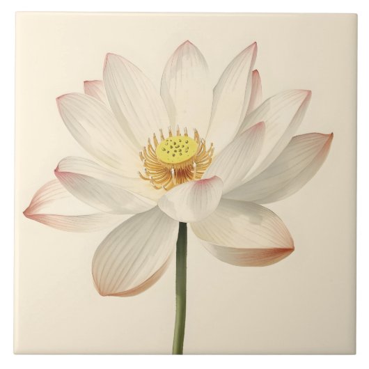 Witte Lotusbloem Tegeltje (Voorkant)