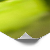 Witte Lotuswatertuinposter Poster (Hoek)