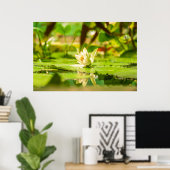 Witte Lotuswatertuinposter Poster (Thuiskantoor)