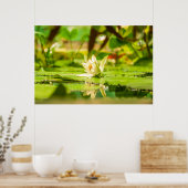 Witte Lotuswatertuinposter Poster (Keuken)
