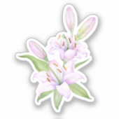 Witte luiken, waterverf bloem sticker (Voorkant)