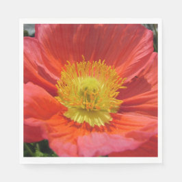 Witte Luncheon Papier servetten HAPPY SEED RODE PO