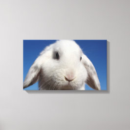 Witte lus canvas afdruk