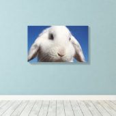 Witte lus canvas afdruk (Insitu (Houten vloer))