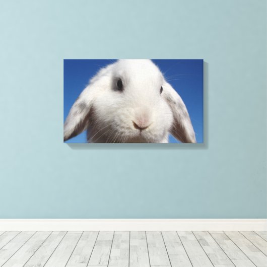 Witte lus canvas afdruk (Insitu (Houten vloer))