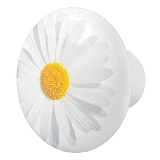 witte maaltijd keramische knop (Rechts)