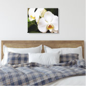 Witte Maan Orchidee (Phalaenopsis Aphrodite) Canvas Afdruk (Insitu (Slaapkamer))