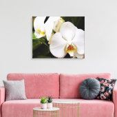 Witte Maan Orchidee (Phalaenopsis Aphrodite) Canvas Afdruk (Insitu (Woonkamer))