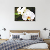 Witte Maan Orchidee (Phalaenopsis Aphrodite) Canvas Afdruk (Insitu (Slaapkamer))