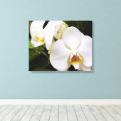 Witte Maan Orchidee (Phalaenopsis Aphrodite) Canvas Afdruk (Insitu (Houten vloer))