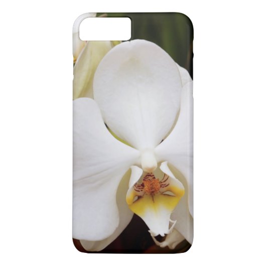 Witte Maan Orchidee (Phalaenopsis Aphrodite) Case-Mate iPhone Case (Achterkant)