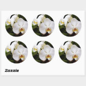 Witte Maan Orchidee (Phalaenopsis Aphrodite) Ronde Sticker (Vel)