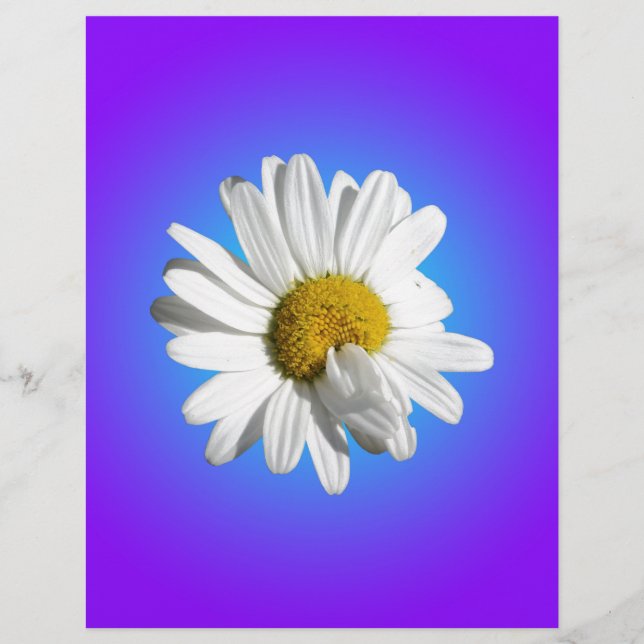 Witte Madelief Bloem Bloemig Paars Blauw Gradiënt (Voorkant)