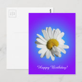 Witte Madelief Bloem Bloemig Paars Blauw Gradiënt Briefkaart (Voorkant / Achterkant)