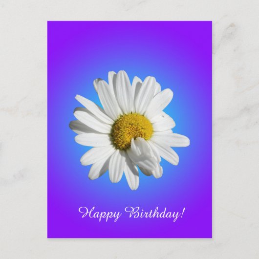 Witte Madelief Bloem Bloemig Paars Blauw Gradiënt Briefkaart (Voorkant)
