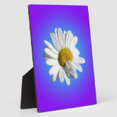 Witte Madelief Bloem Bloemig Paars Blauw Verloop Fotoplaat (Zijkant)