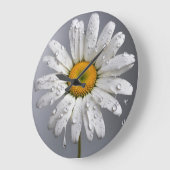 Witte Madelief Met Regendruppels Grote Klok (Hoek)