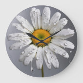 Witte Madelief Met Regendruppels Grote Klok (Voorkant)