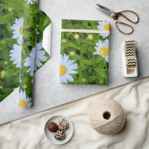 Witte Madelief Tuin Cadeaupapier