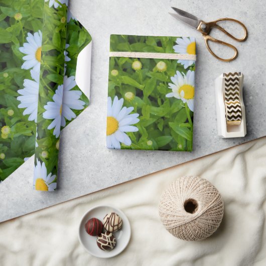 Witte Madelief Tuin  Cadeaupapier (Crafts)